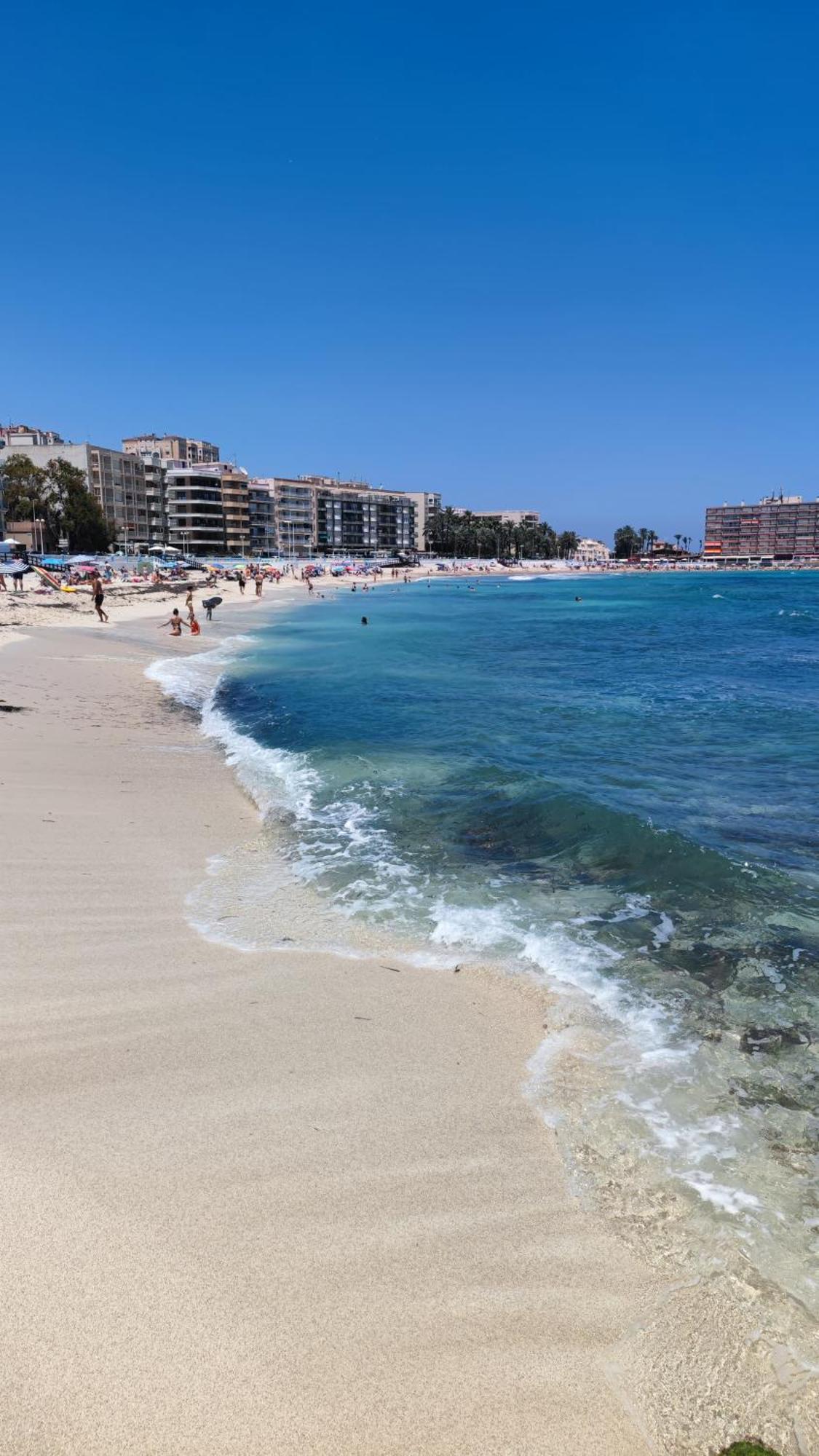 Apartamentos Palangres Τορεβιέχα Εξωτερικό φωτογραφία