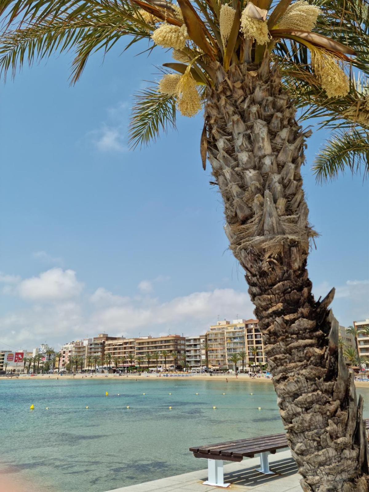 Apartamentos Palangres Τορεβιέχα Εξωτερικό φωτογραφία